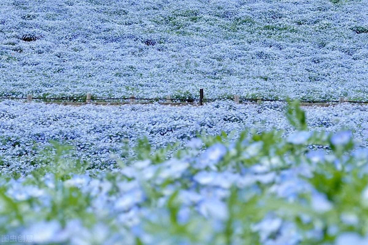 农业土地_农业土地的概念_农业土地政策概念