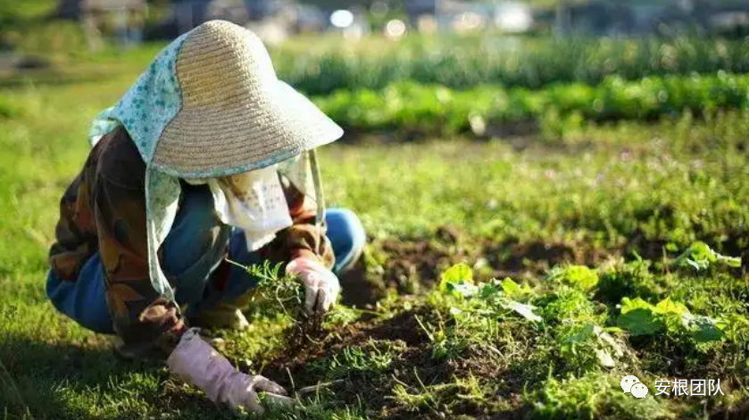 农业土地的概念_农业土地政策概念_农业土地