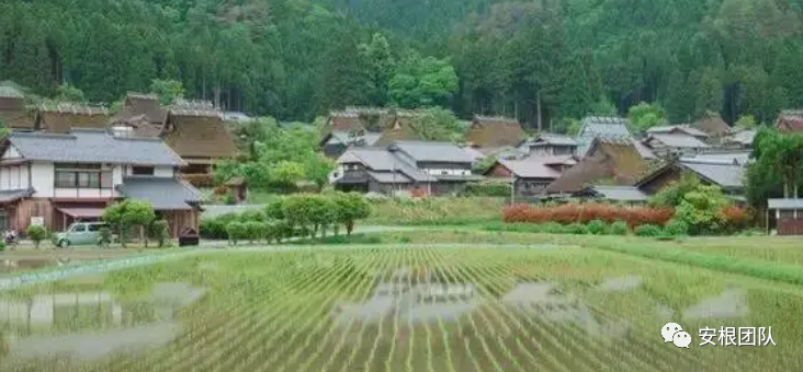 农业土地_农业土地政策概念_农业土地的概念