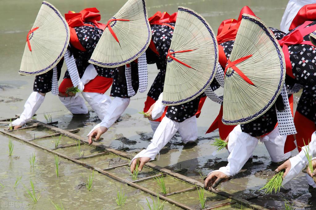 农业土地_农业土地政策概念_农业土地的概念