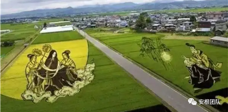 农业土地_农业土地的概念_农业土地政策概念