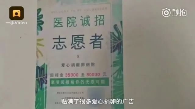 心灵鸡汤危害的例子_心灵鸡汤的危害 知乎_鸡汤害人的例子