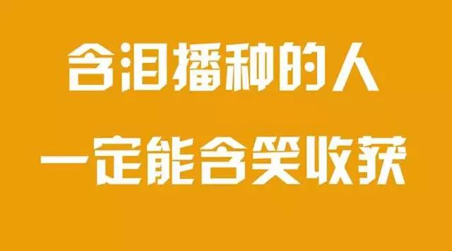 高三心灵鸡汤语录_送给高三的心灵鸡汤_高三的心灵鸡汤