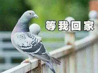 人性实验室 心灵鸡汤_鸡汤心灵人生_心灵鸡汤者