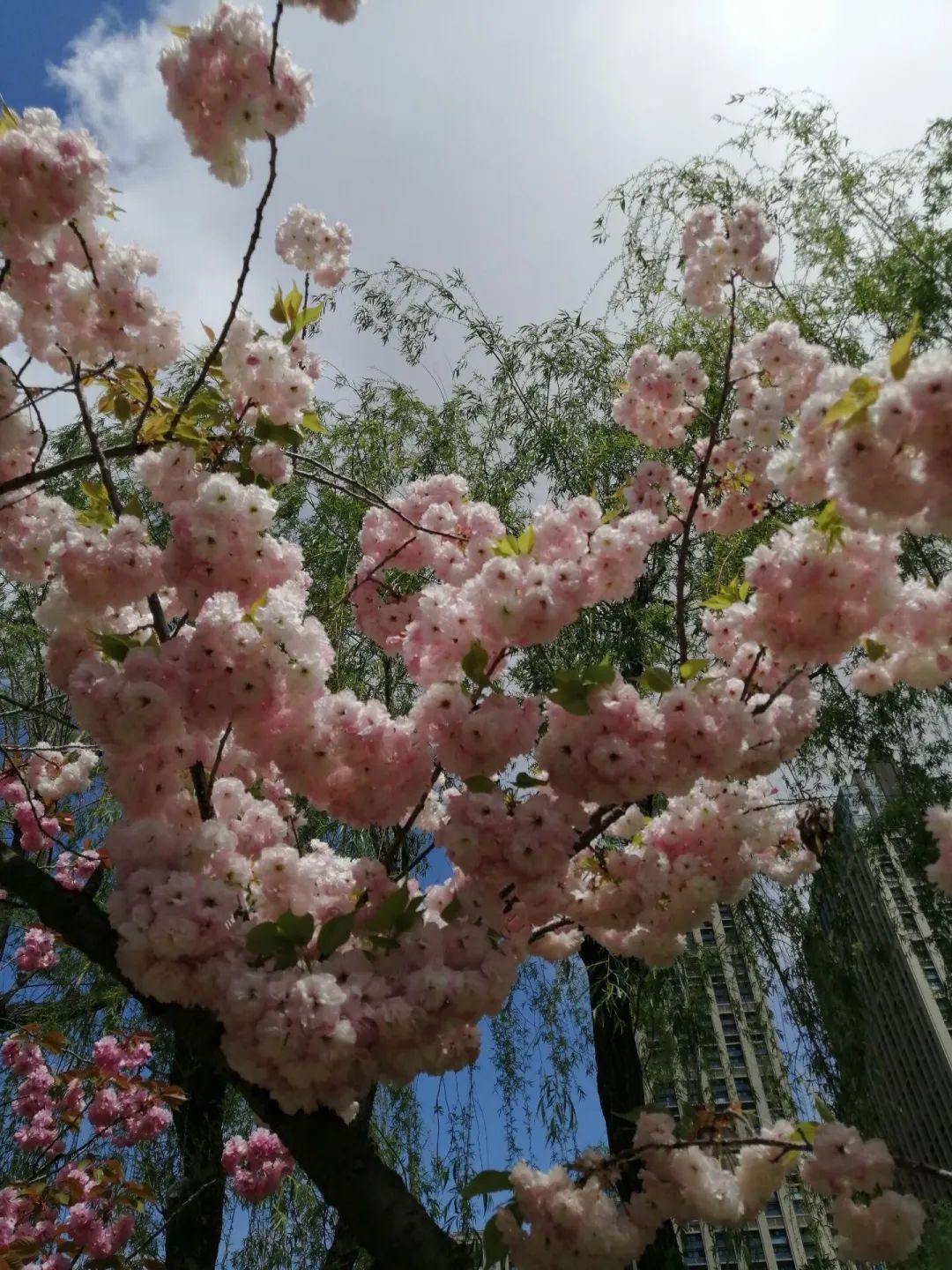 心灵鸡汤饭店_青岛心灵鸡汤_心灵鸡汤馆