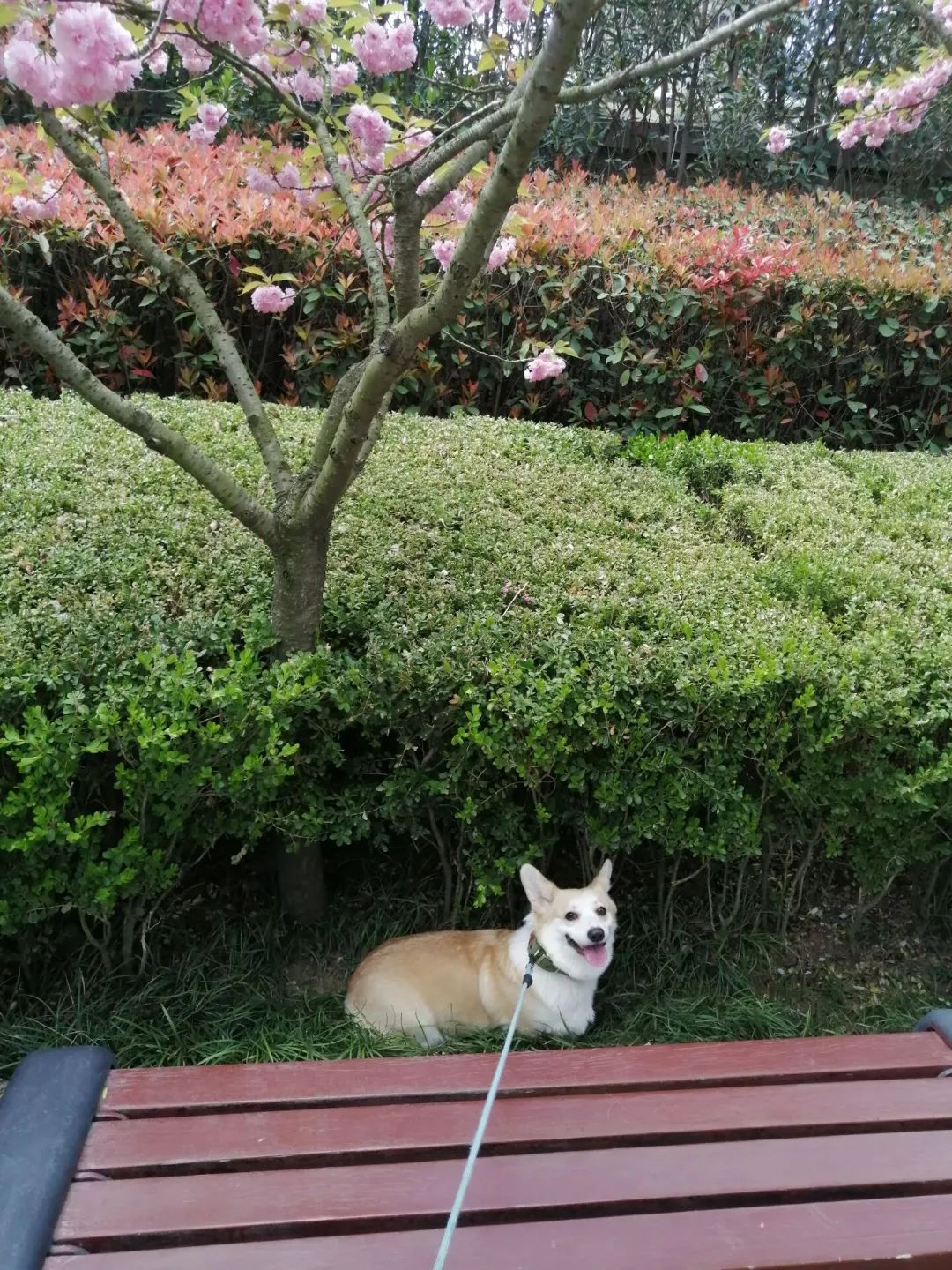 心灵鸡汤馆_青岛心灵鸡汤_心灵鸡汤饭店