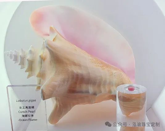 展会查询_展会_展会官网