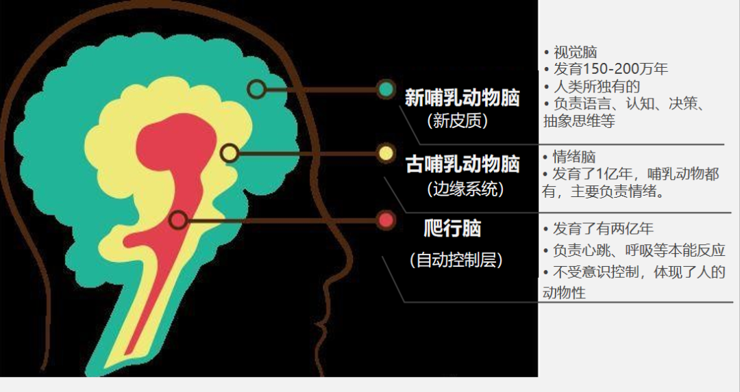 职场进化手册在线阅读_动物职场进化手册在线_职场进化动物手册章节