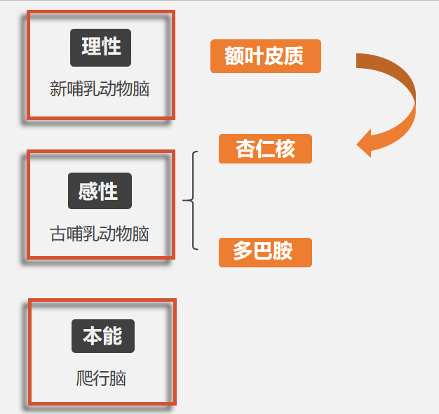 职场进化手册在线阅读_职场进化动物手册章节_动物职场进化手册在线