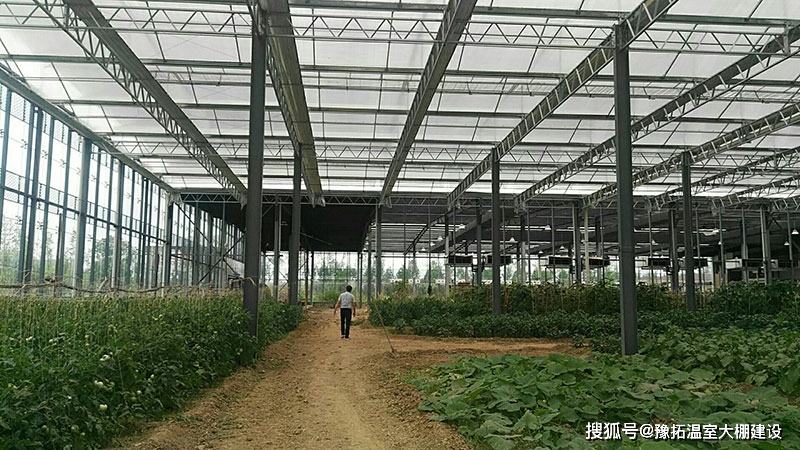 800平方简易钢结构大棚_简易钢结构大棚图纸_钢结构大棚每平米价格