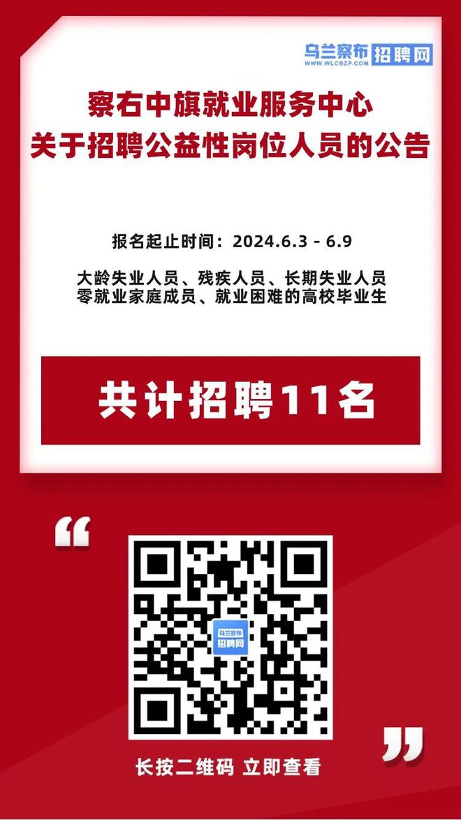 2024年下半年洛阳市市直单位公益性岗位招聘来了！