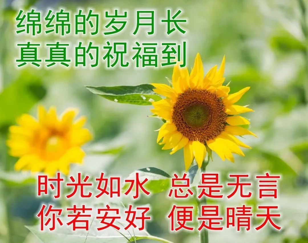 心灵鸡汤的分享_心灵鸡汤分享_分享心灵鸡汤的感想