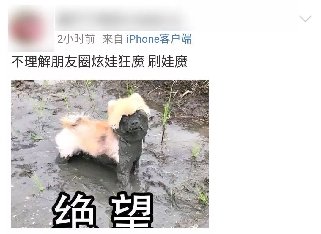 心灵鸡汤无病呻吟_心灵鸡汤声音_鸡汤心灵的意思