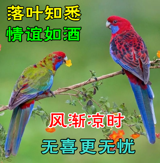 鸡汤心灵励志_鸡汤心灵短句鸡汤_心灵鸡汤好不好