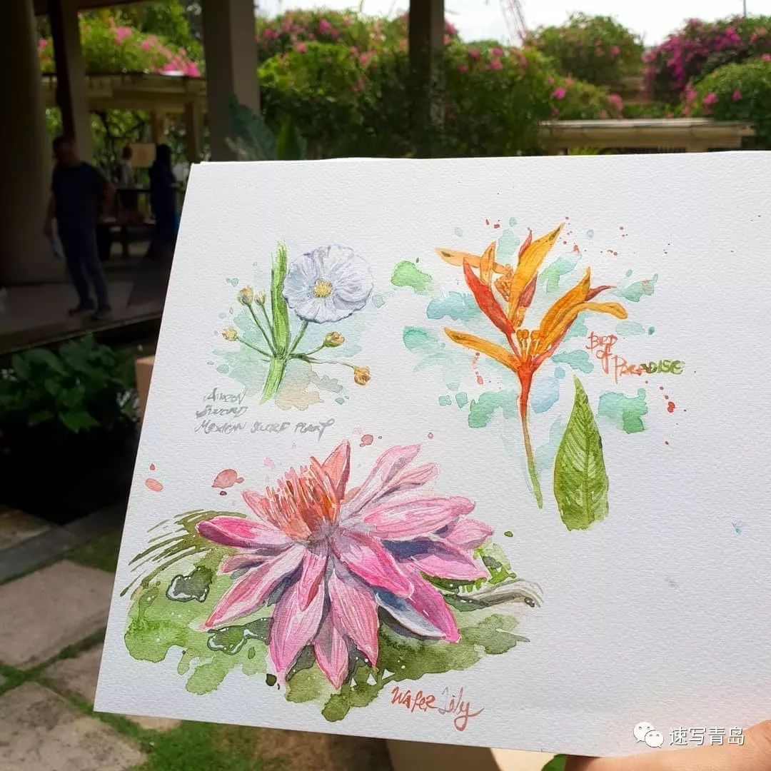 creative sketch创意速写_创意速写头像_创意速写图片