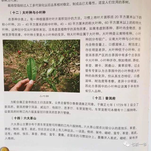 买茶叶骗术_求购茶叶骗局_买茶叶骗局