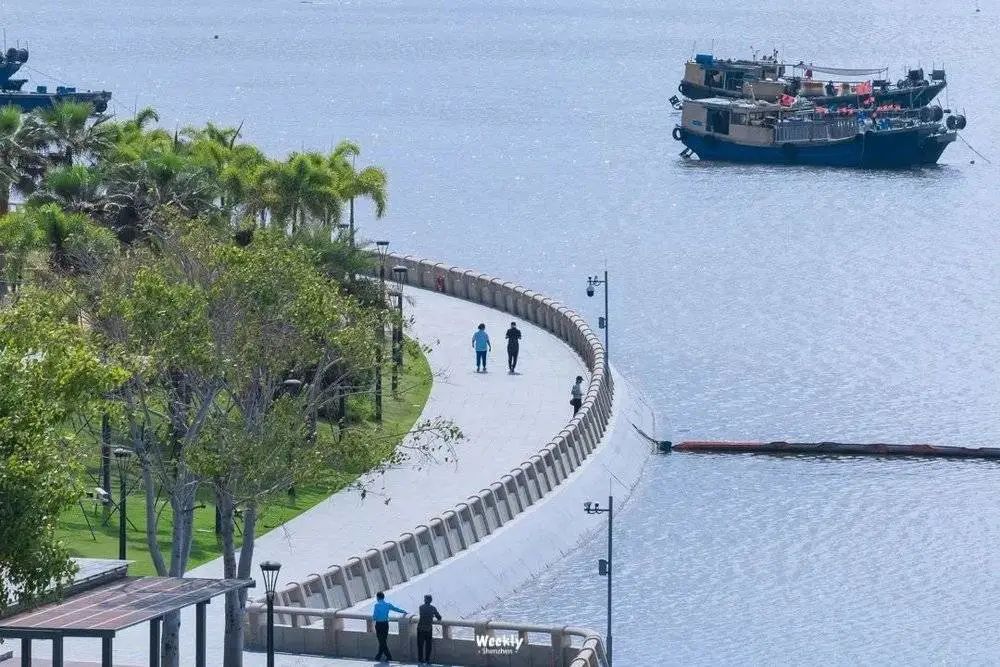 深圳口碑好的家政公司_深圳好的家政_深圳哪家家政公司好