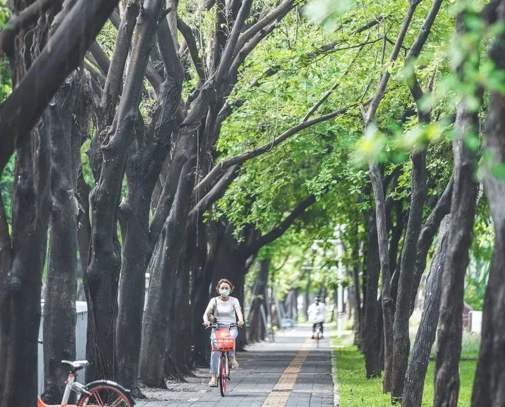 深圳哪家家政公司好_深圳口碑好的家政公司_深圳好的家政