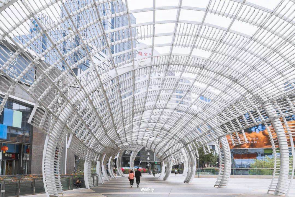 深圳好的家政_深圳哪家家政公司好_深圳口碑好的家政公司