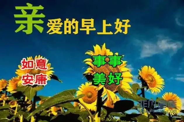 鸡汤心灵励志_心灵鸡汤6_鸡汤心灵是什么意思