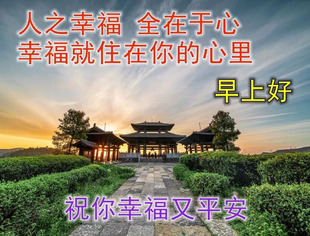 鸡汤心灵啥意思_鸡汤心灵短句_心灵鸡汤看多了好吗