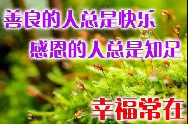 鸡汤心灵啥意思_鸡汤心灵短句_心灵鸡汤看多了好吗