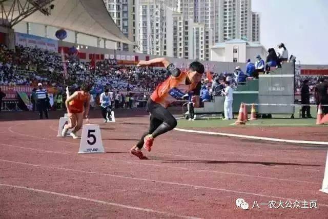 还是飞鸽传书吧_飞鸽传书软件原理_飞鸽传书源码