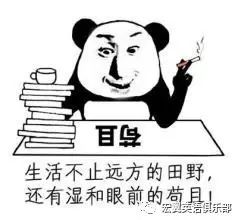 关于心灵鸡汤的图片带字_有关心灵鸡汤的情感方面的文章和加上图片_心灵鸡汤情感文案