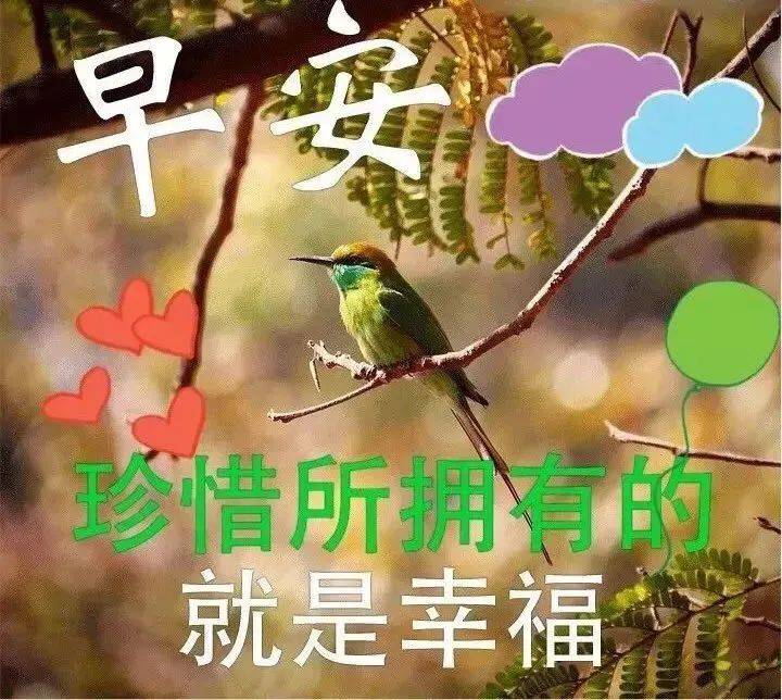 职场励志心灵鸡汤短文_职场励志语录心灵鸡汤_职场的励志鸡汤语录