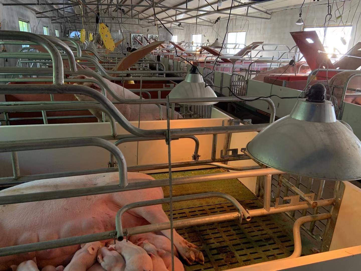 广饶招聘6月招聘司机_抚顺人才网招聘招聘_招聘