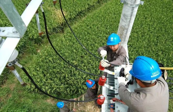 临沂市冷库安装公司_山东冷库工程安装_钢结构安装工程 临沂市冷库