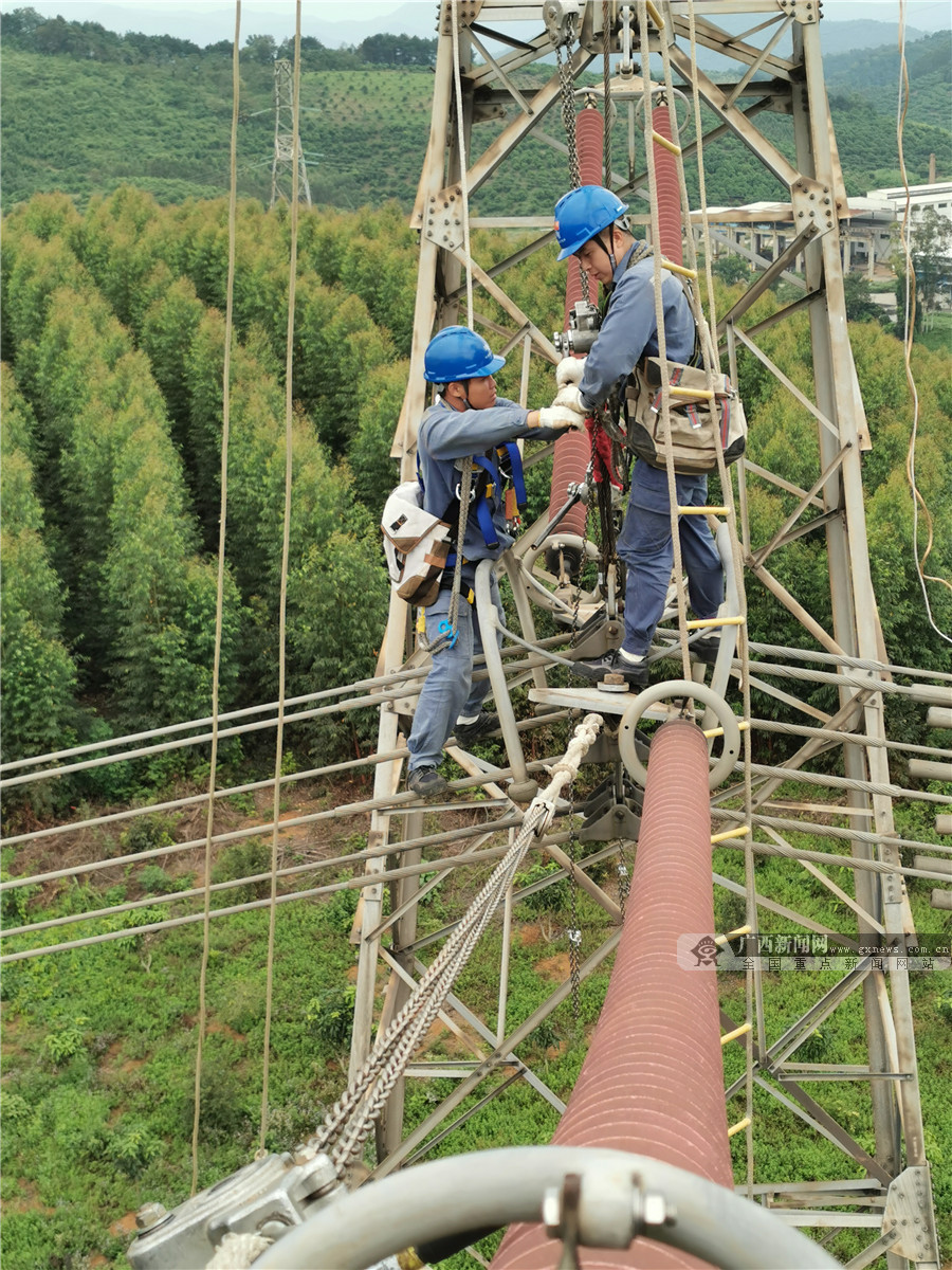 钢结构安装工程 临沂市冷库_临沂市冷库安装公司_山东冷库工程安装