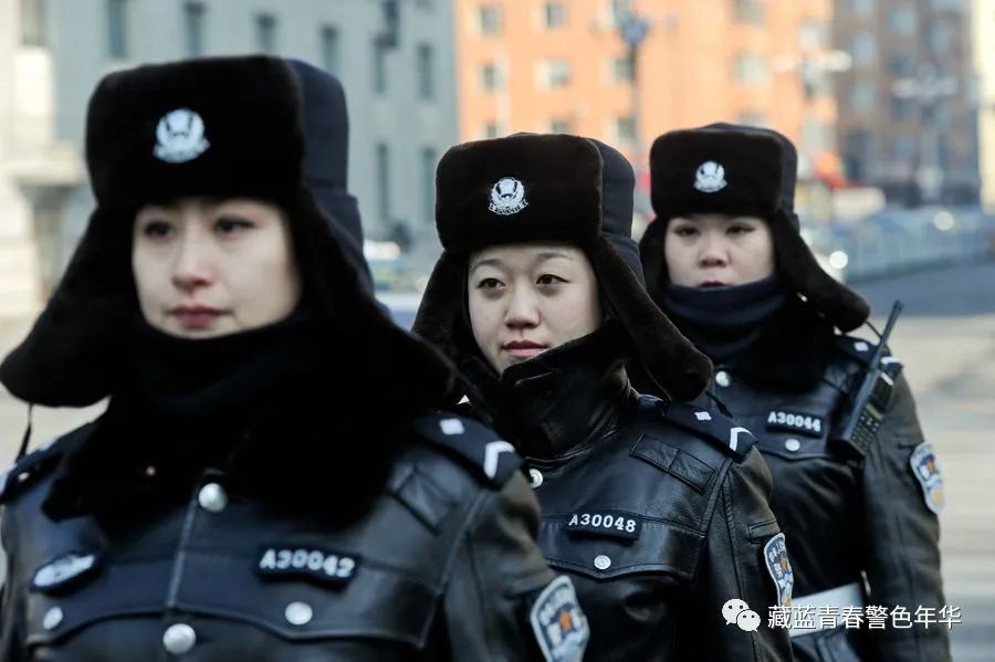 抚顺人才网招聘招聘_招聘网_招聘