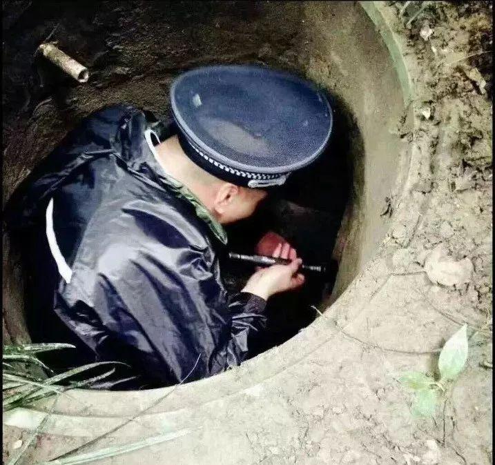成都家政公司排行_成都家政高端公司排行榜_成都高端家政公司
