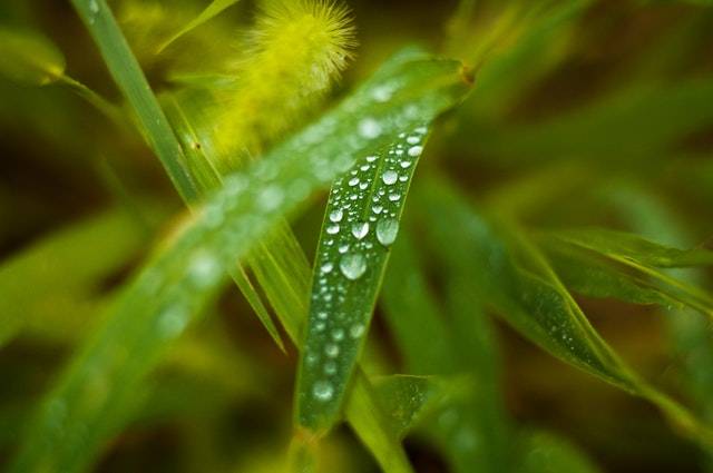 【招聘信息】天健会计师事务所四川分所招聘简章