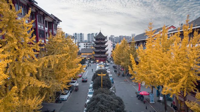 招聘58同城找工作_抚顺人才网招聘招聘_招聘