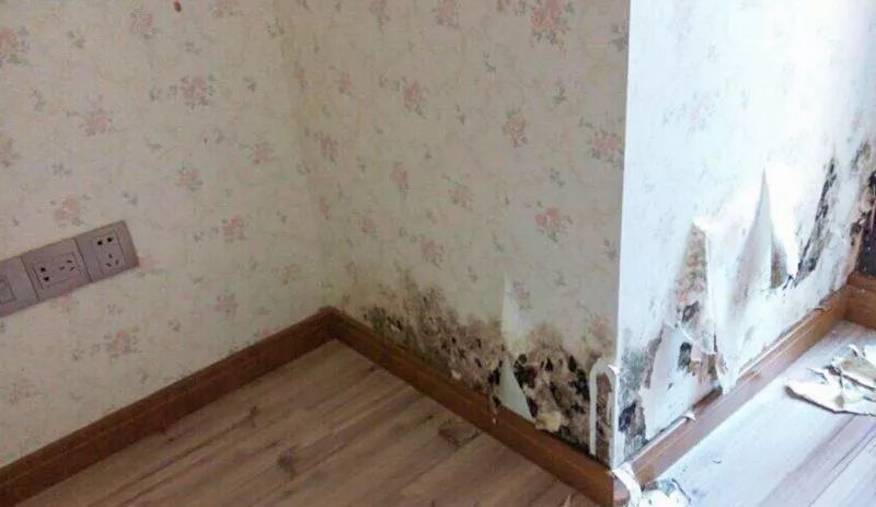装修材料不环保一定要拆吗_拆装修环保材料要什么手续_环保装修材料可以直接进去住吗