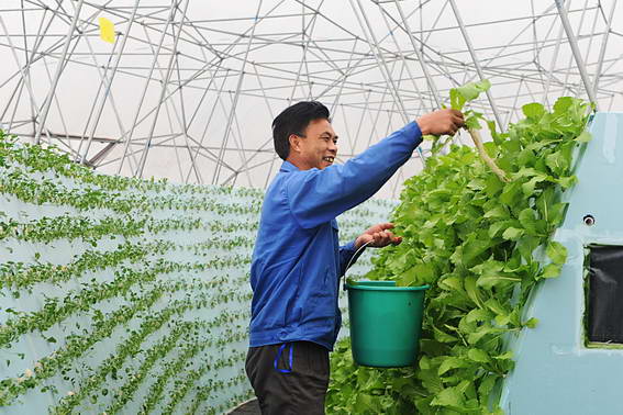 钢结构大棚图纸_钢结构大棚图集_钢结构大棚图片大全