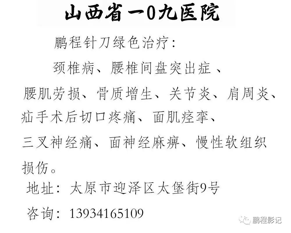 心灵鸡汤中的高汤_高晓松的著名心灵鸡汤_鸡汤心灵视频