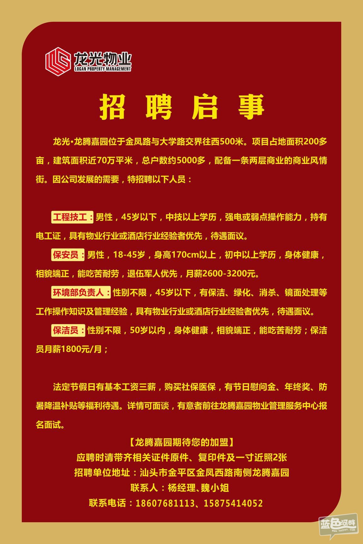 招聘部分信息