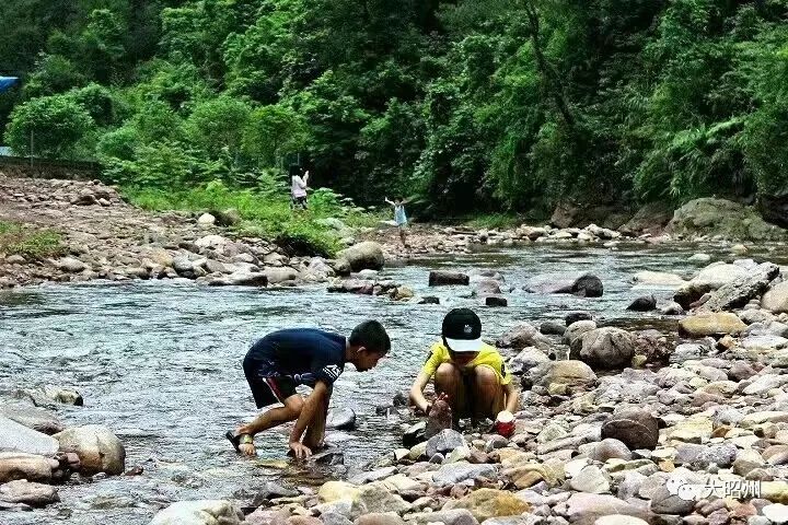 大村子自然村_自然村好吗_大冲子自然村