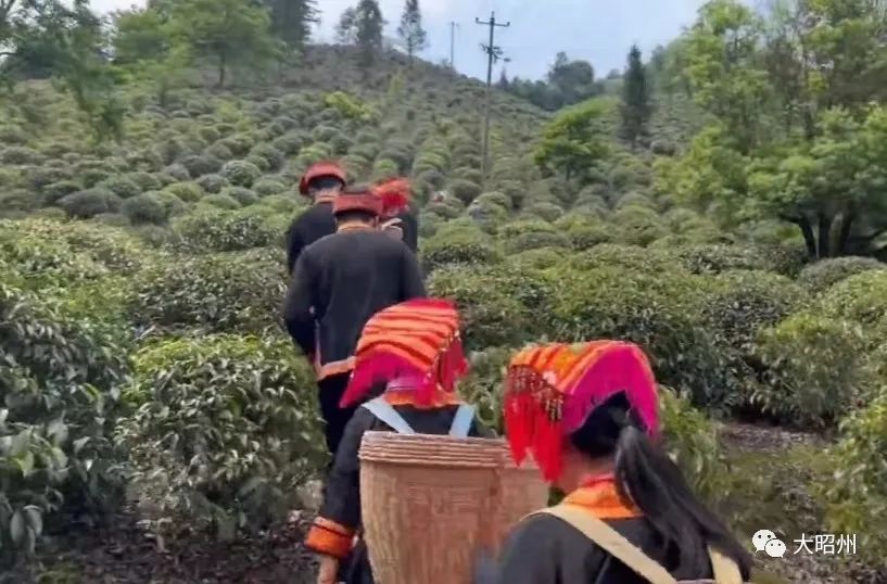自然村好吗_大村子自然村_大冲子自然村