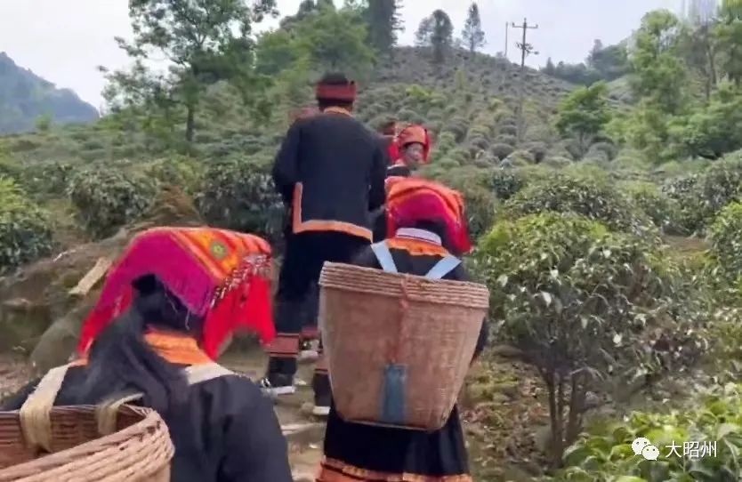 大冲子自然村_自然村好吗_大村子自然村