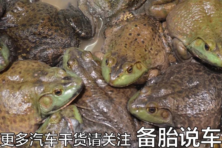 二手车配件在哪里买_买二手汽车配件_二手车配件好买吗