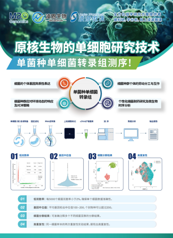 展会展位设计效果图_展会_展会查询