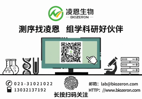 展会展位设计效果图_展会查询_展会