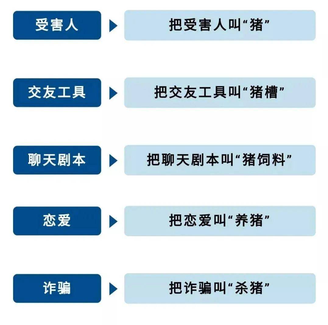 骗局征婚网络诈骗案例_网络征婚骗术_网络征婚骗局