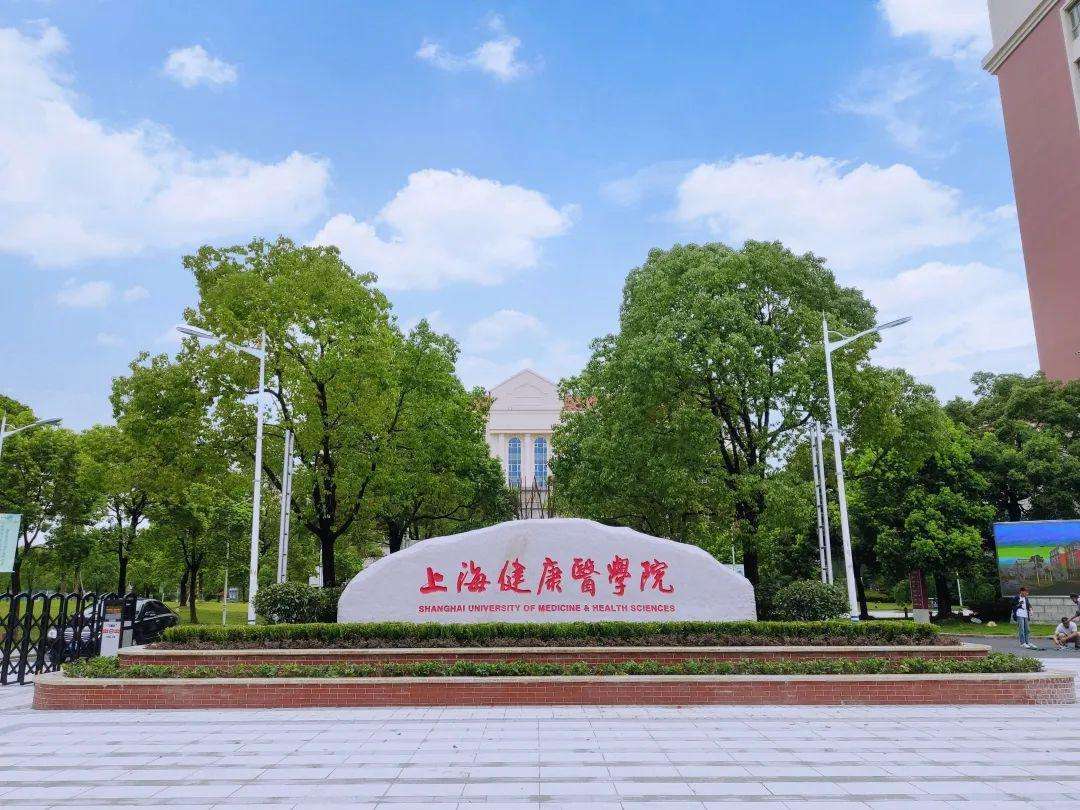 上海市经济信息中心公开招聘工作人员