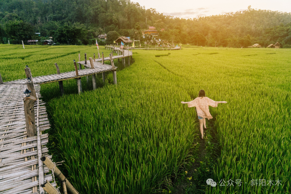 重返职场感想全职妈妈的说说_全职妈妈重返职场感想_重返职场的宝妈