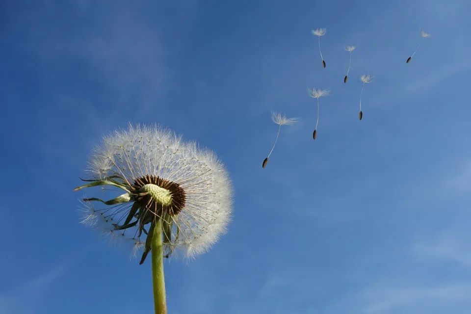 人力专员简历怎么写_人力资源专员简历模板_人力资源专员求职简历模板